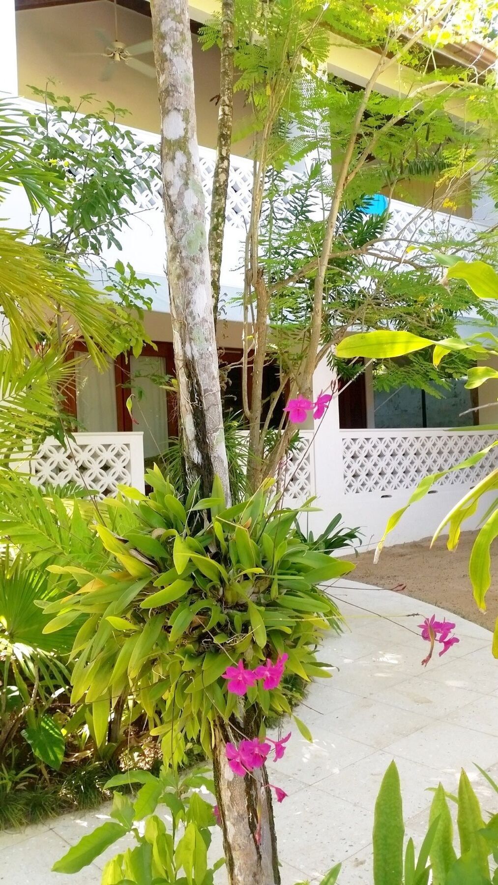 Idle Awhile Resort Negril Exteriör bild