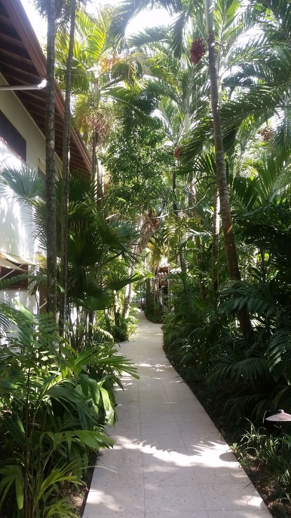 Idle Awhile Resort Negril Exteriör bild