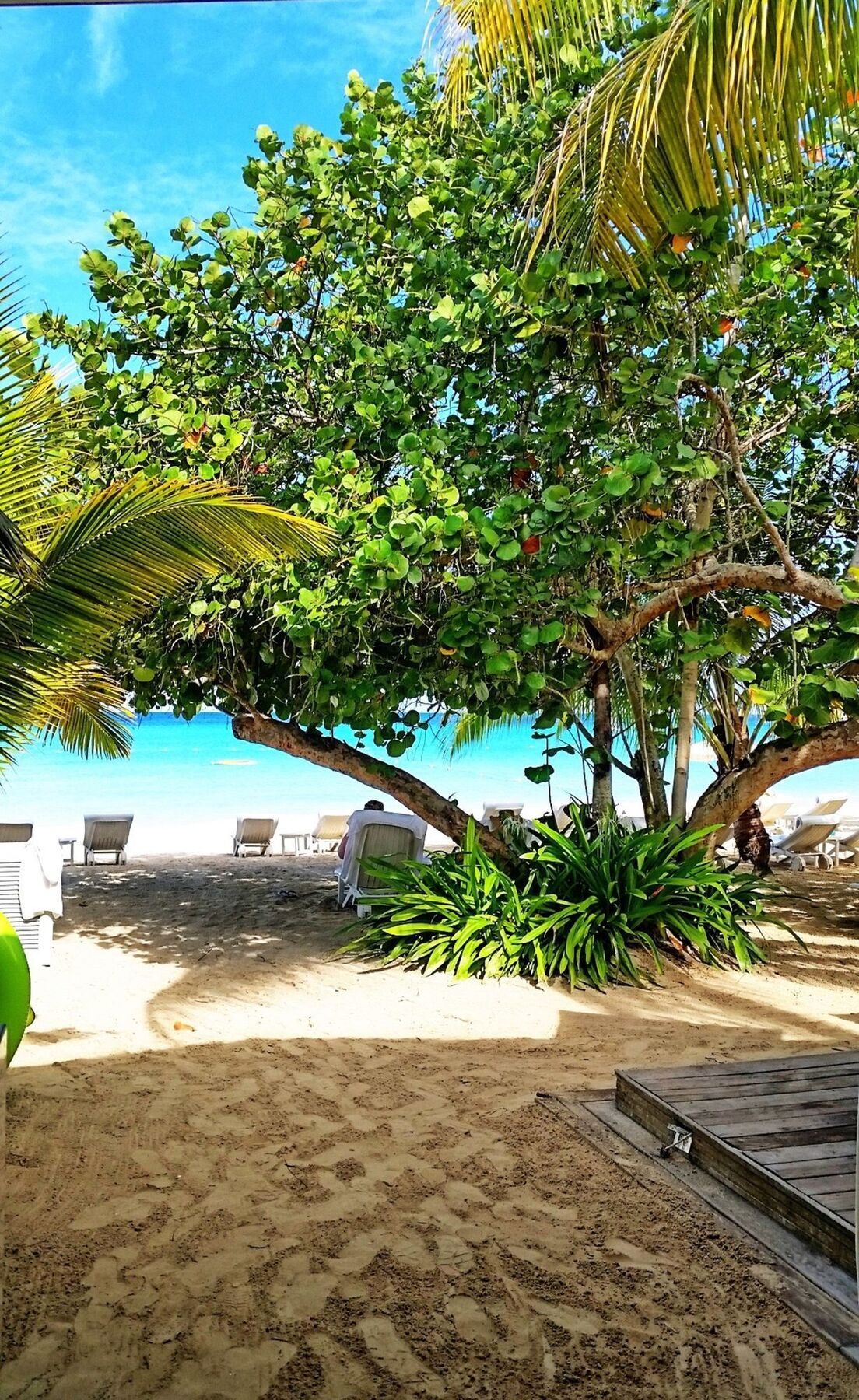 Idle Awhile Resort Negril Exteriör bild